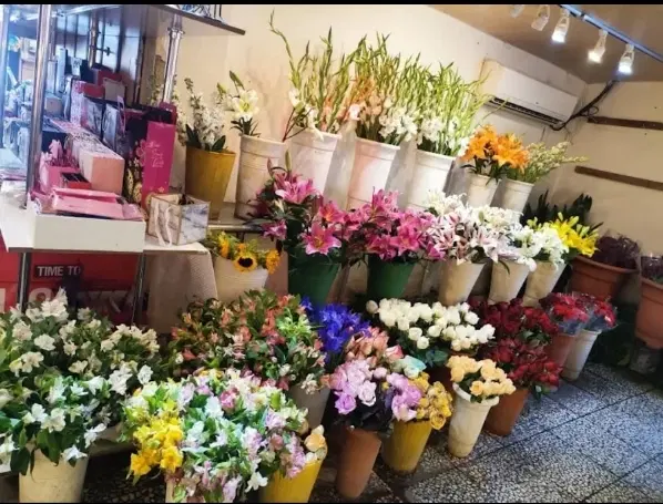 گل گیاه|گل مصنوعی|بم, |دیوار