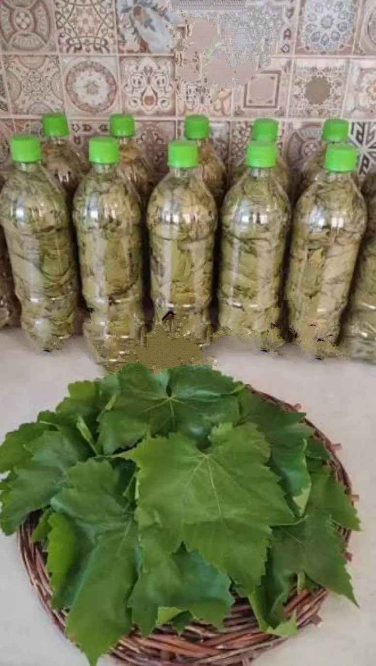 برگ مو|خوردنی و آشامیدنی|ارومیه, |دیوار