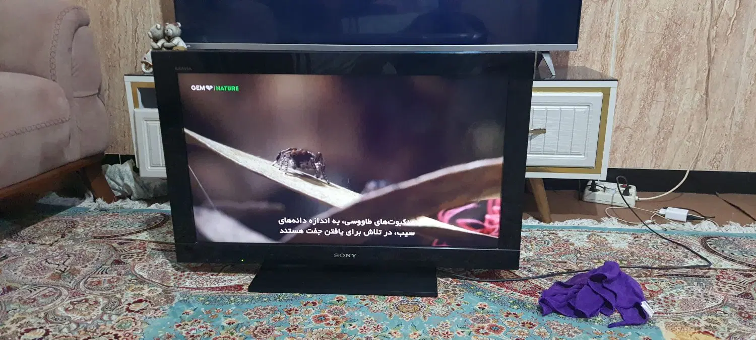 ال سی دی|تلویزیون و پروژکتور|سردشت, |دیوار