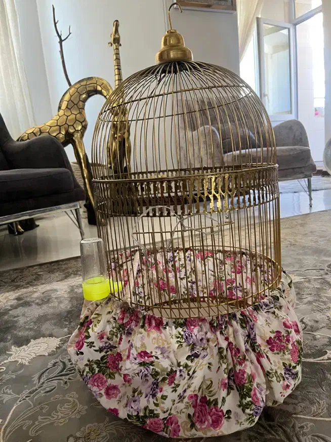 قفس طلایی و لوازم|لوازم جانبی حیوانات|تهران, مسعودیه|دیوار