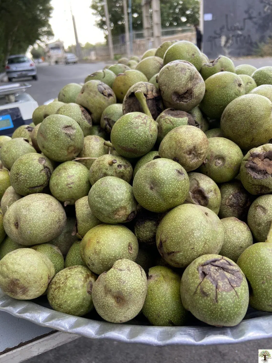 گردو تر|خوردنی و آشامیدنی|شهرکرد, |دیوار