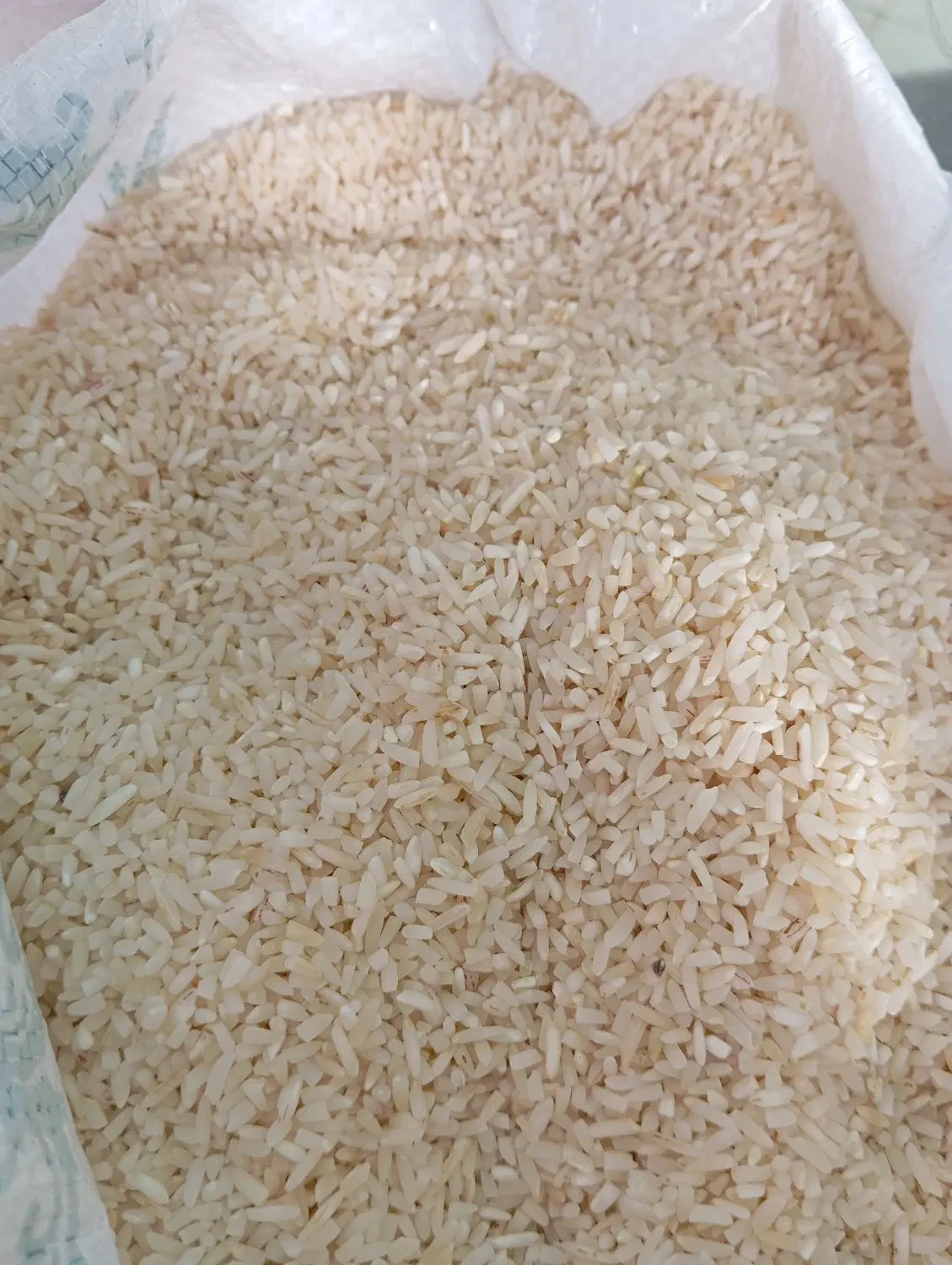 برنجی|خوردنی و آشامیدنی|گرمسار, |دیوار