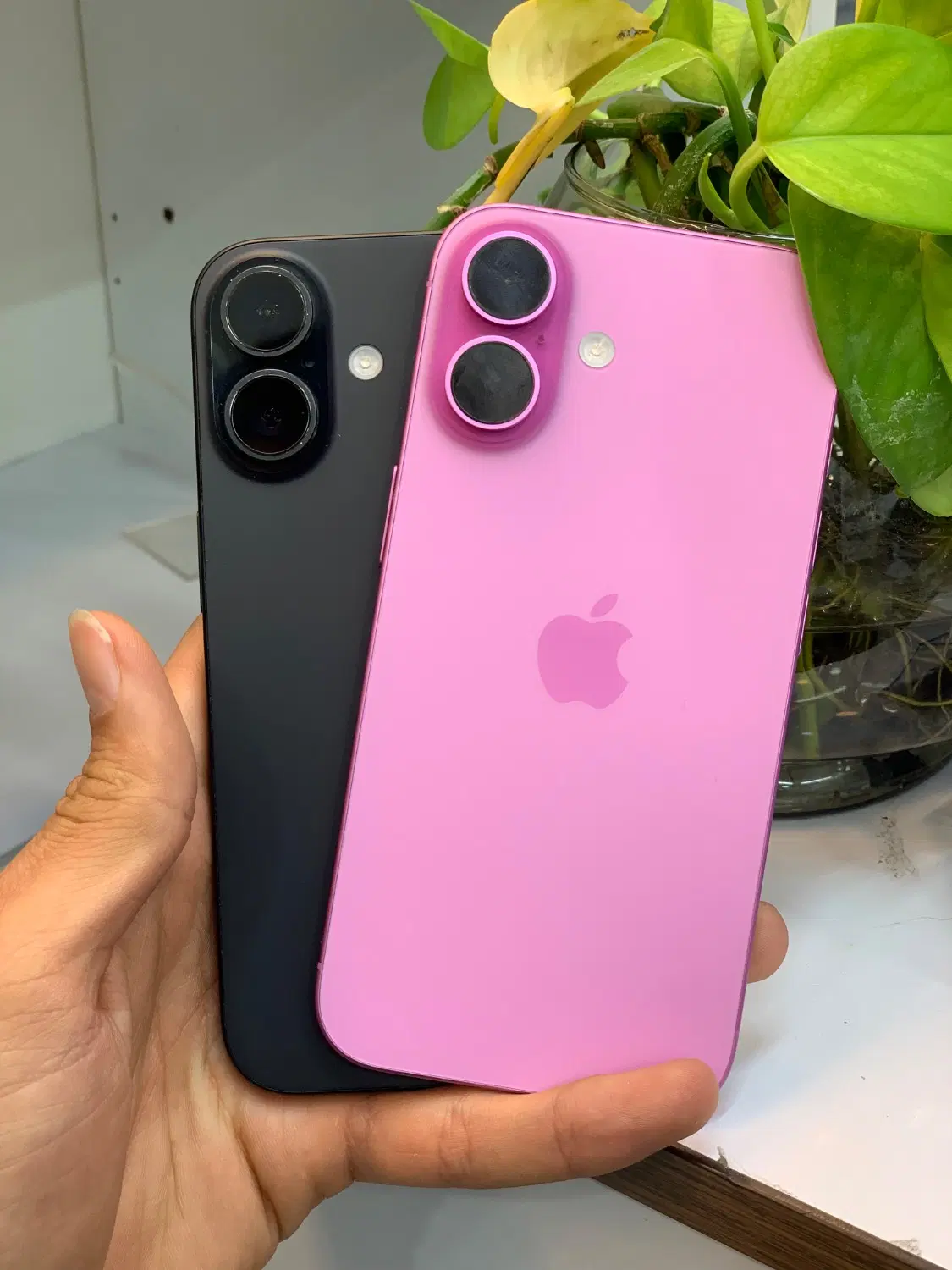 iphone 16 normal|موبایل|شیراز, ملاصدرا|دیوار