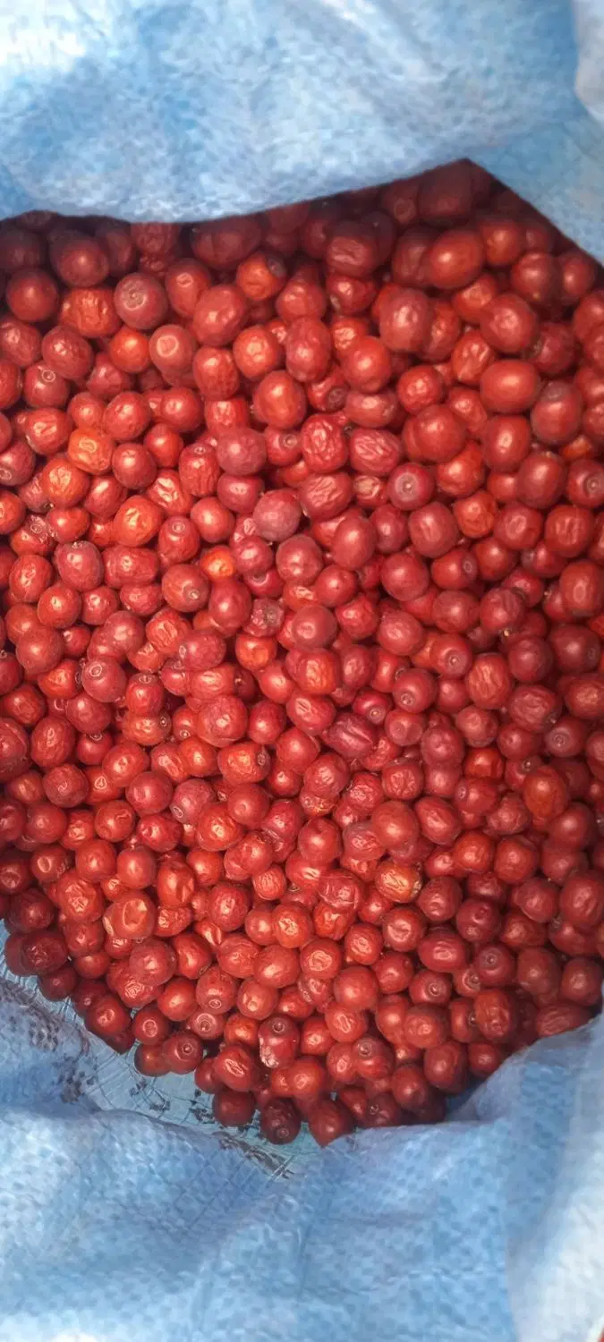 عناب|خوردنی و آشامیدنی|بیرجند, |دیوار