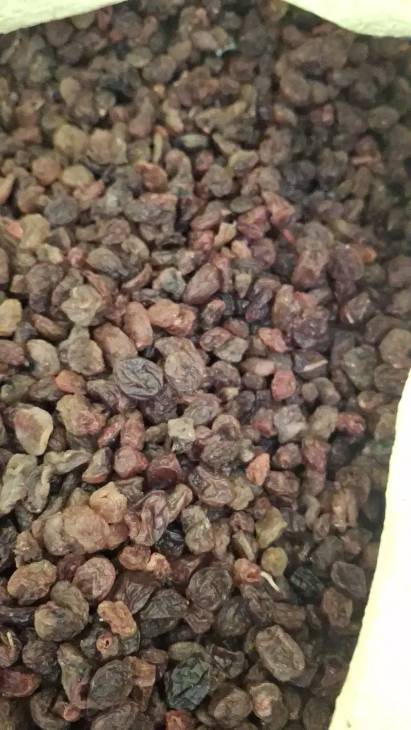 کشمش سرکه ای|خوردنی و آشامیدنی|ملایر, |دیوار