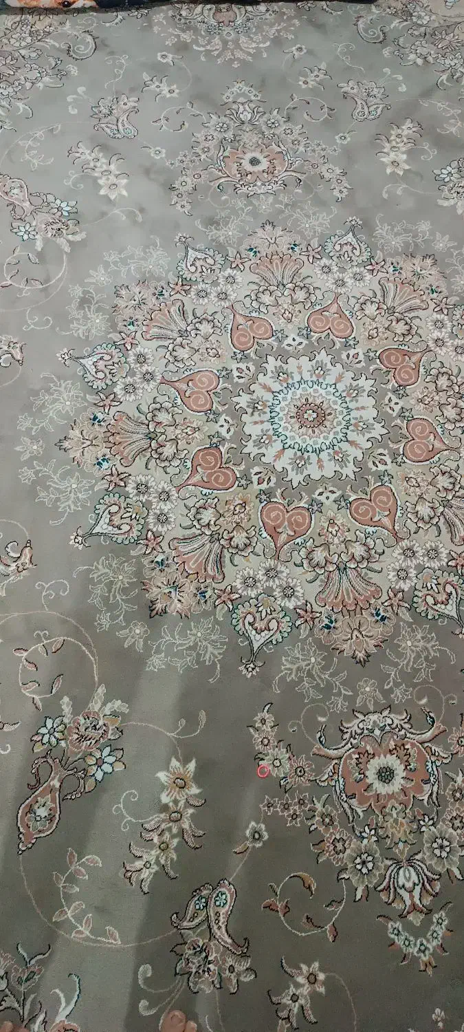 فرش|فرش|شیروان (خراسان), |دیوار