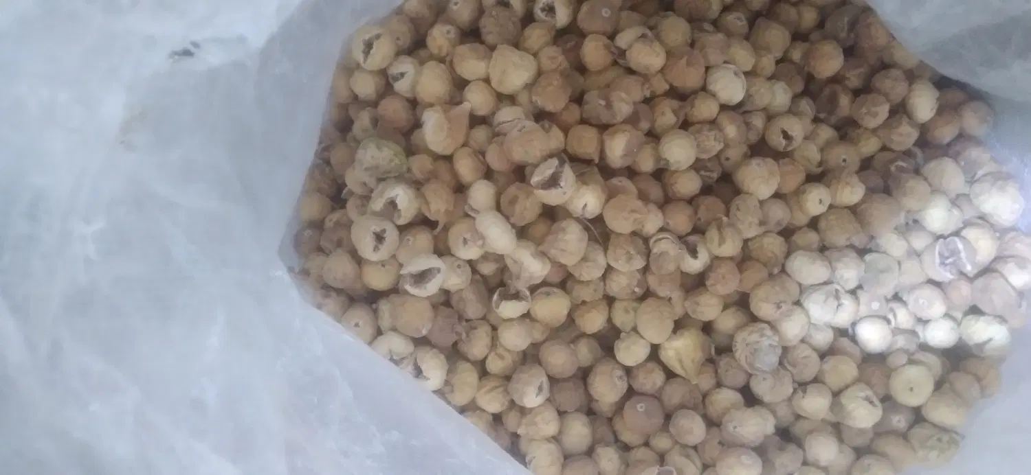 کش مبیز|خوردنی و آشامیدنی|فسا, |دیوار