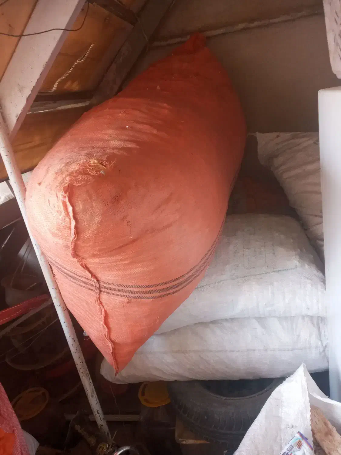 نان خشک|لوازم جانبی حیوانات|چناران, |دیوار