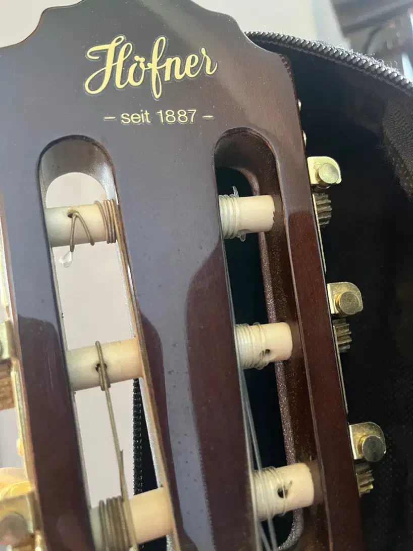 گیتار|گیتار، بیس، امپلیفایر|اصفهان, سپاهانشهر|دیوار