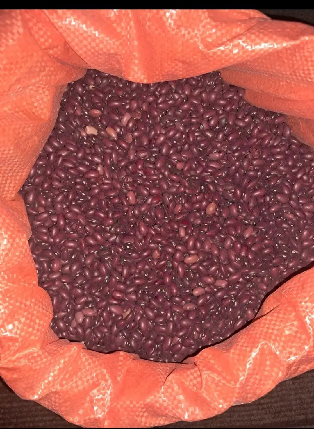 مواد غذایی|خوردنی و آشامیدنی|خرمدره, |دیوار