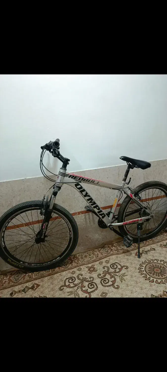 دوچرخه ۲۶|دوچرخه، اسکیت، اسکوتر|پیشوا, |دیوار