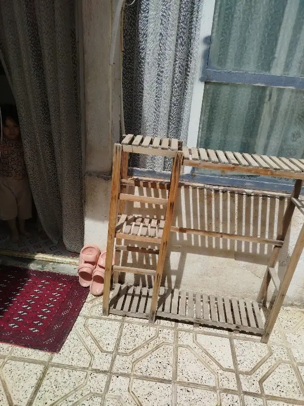 پایه گل|گل و گیاه طبیعی|مشهد, ثامن|دیوار