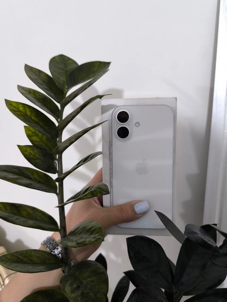 iphone 16normal|موبایل|ایلخچی, |دیوار