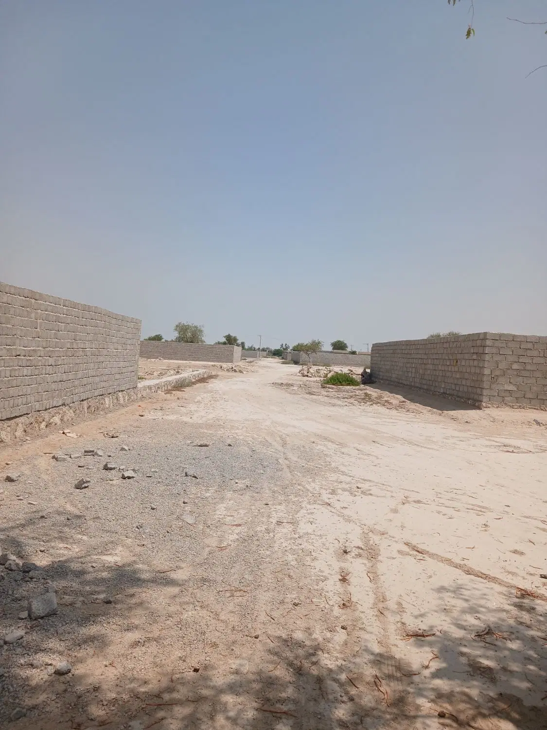 تصویر 1