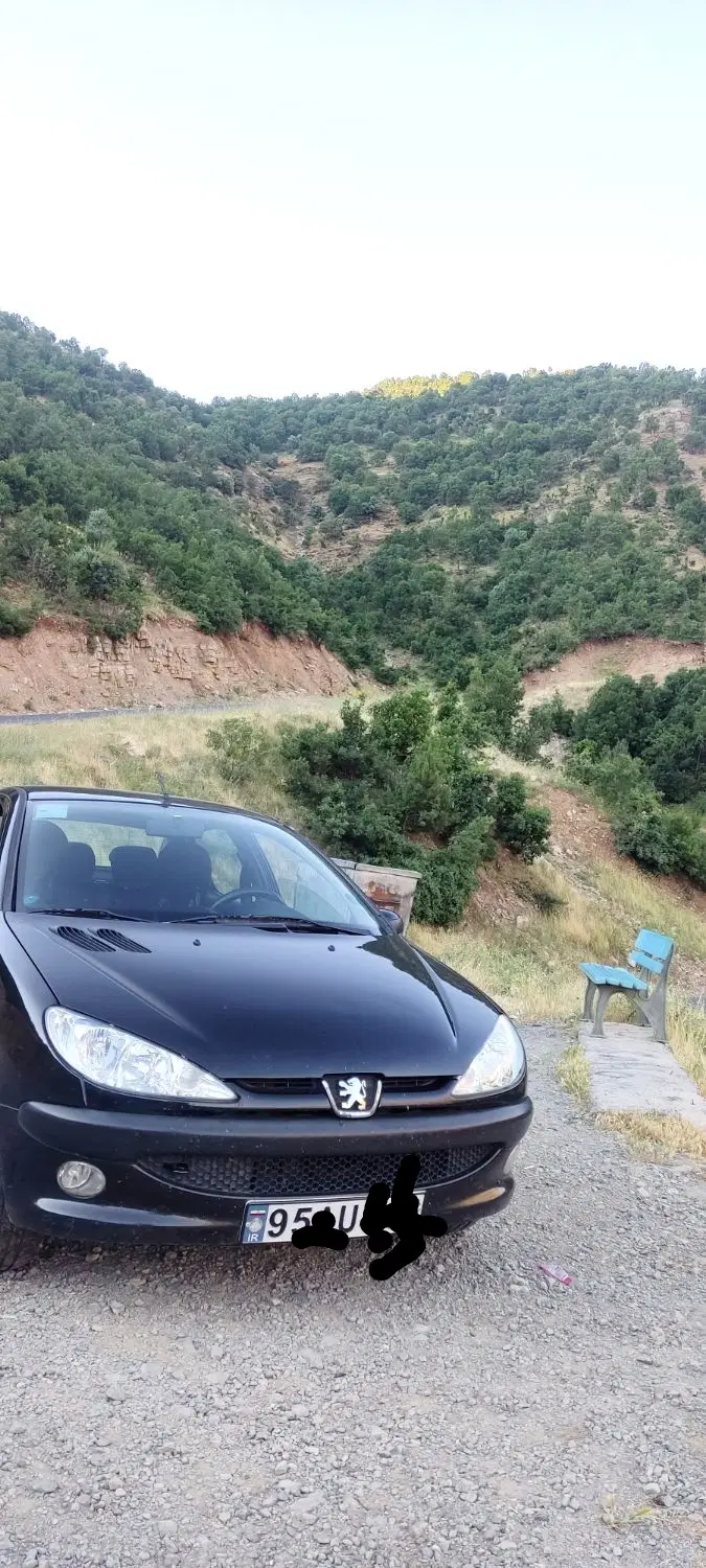 206 sd v8|خودرو سواری و وانت|سنندج, |دیوار