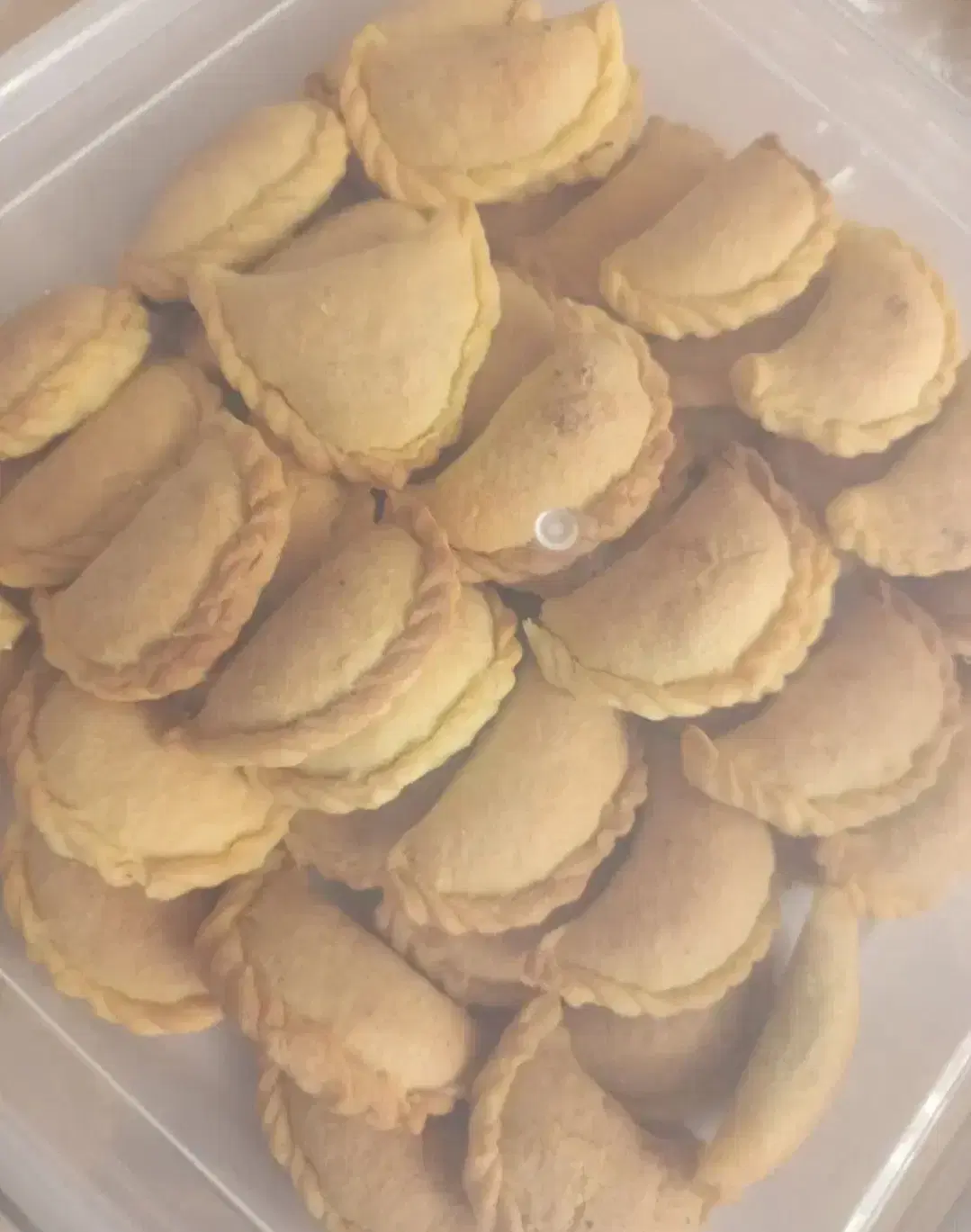 قطاب|خوردنی و آشامیدنی|رشت, کاکتوس|دیوار