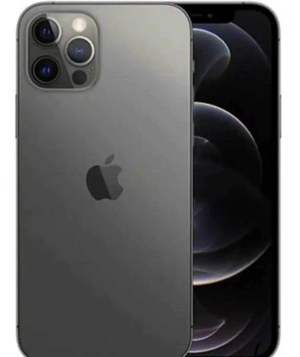 12 pro max|موبایل|اصفهان, باغ گلها|دیوار