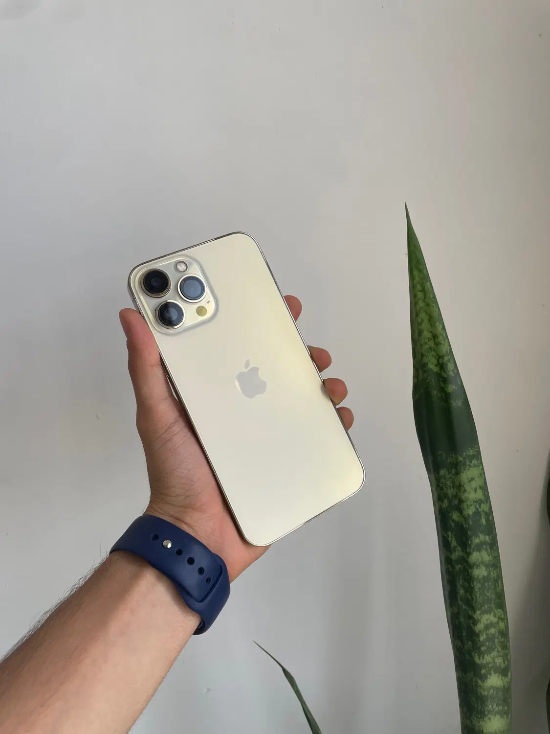فوری Iphone 13 pro max|موبایل|بندرعباس, |دیوار