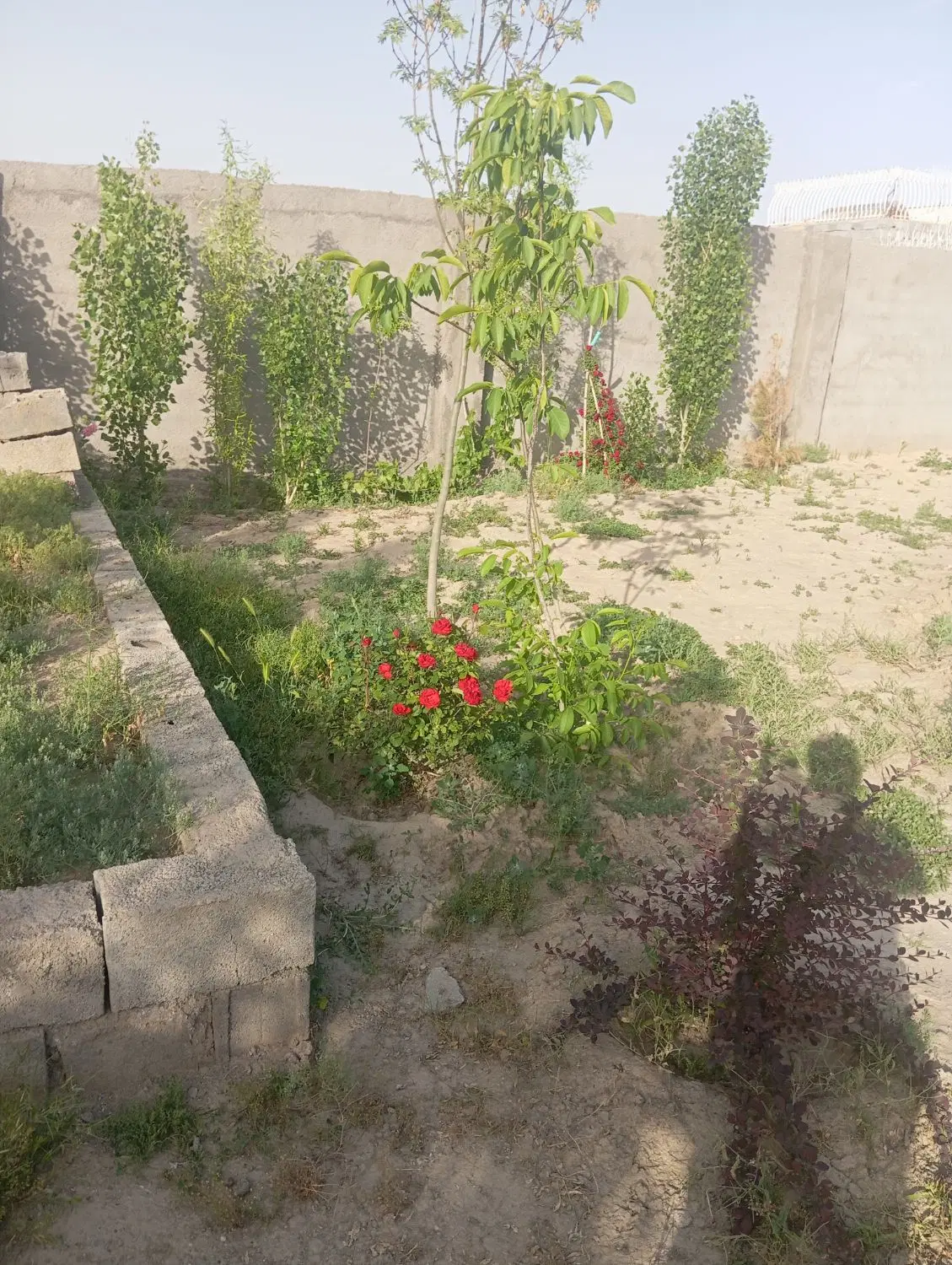 تصویر 7