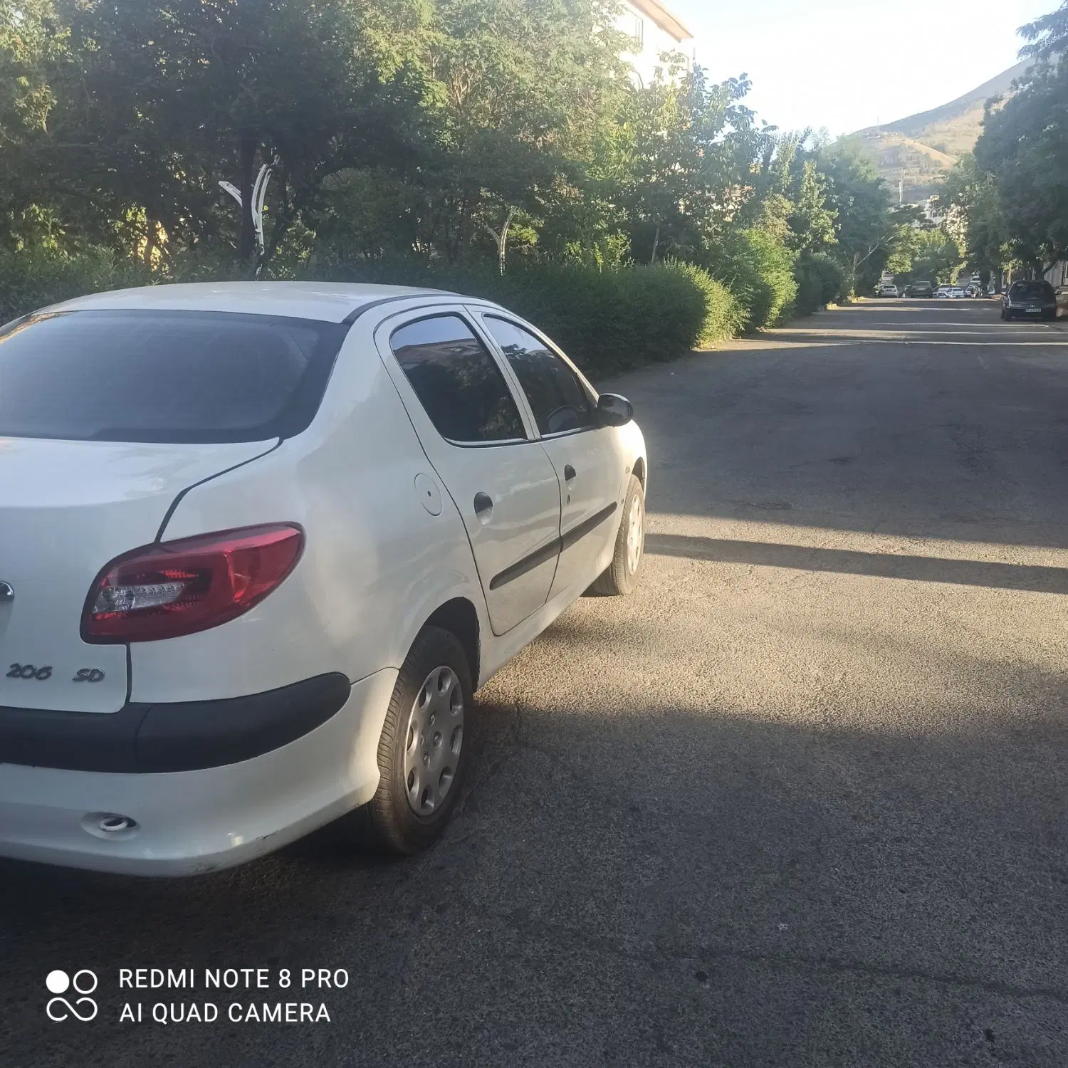 206sd95v8|خودرو سواری و وانت|سنندج, |دیوار