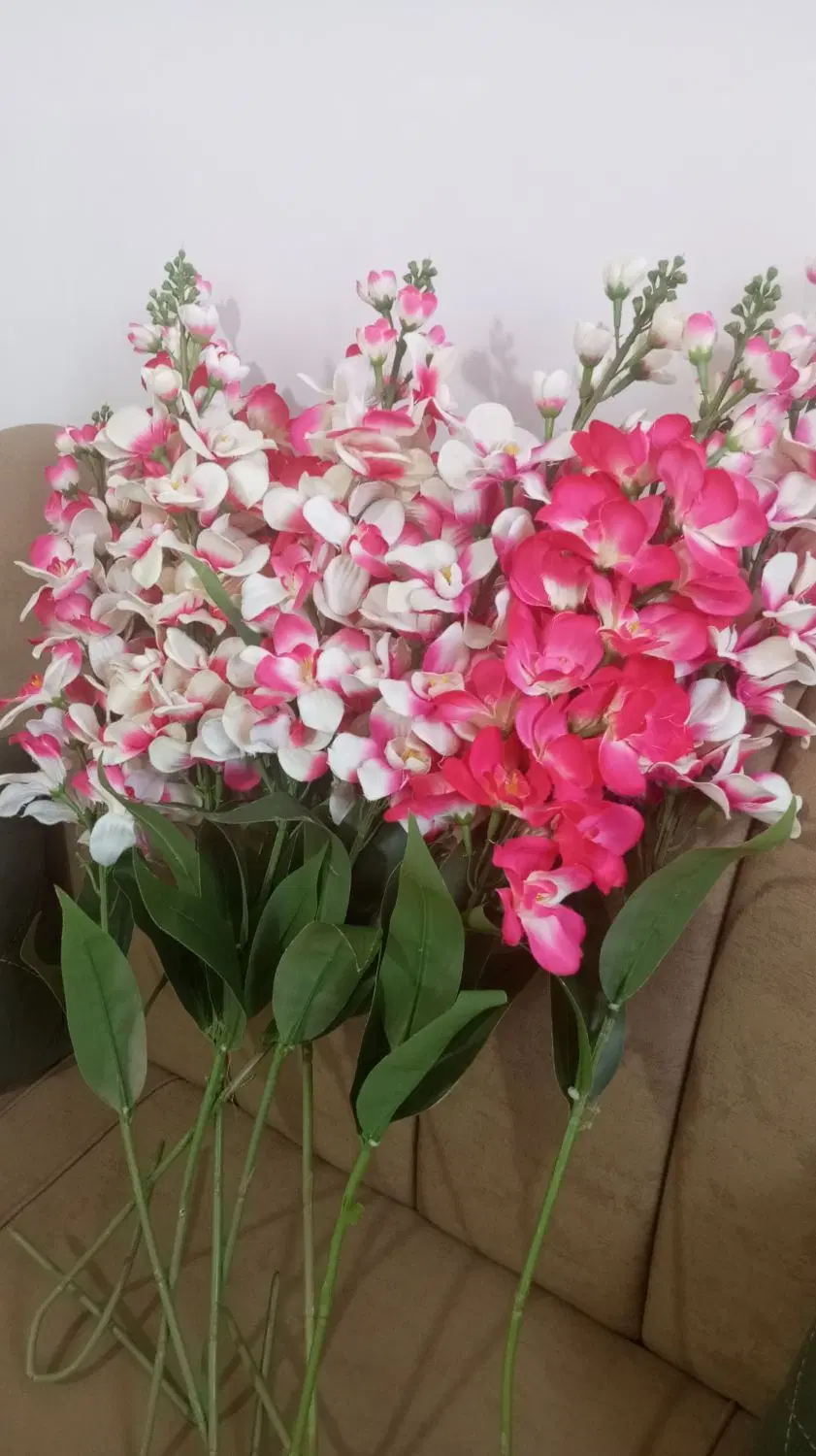 گل نو|گل مصنوعی|کوهدشت, |دیوار