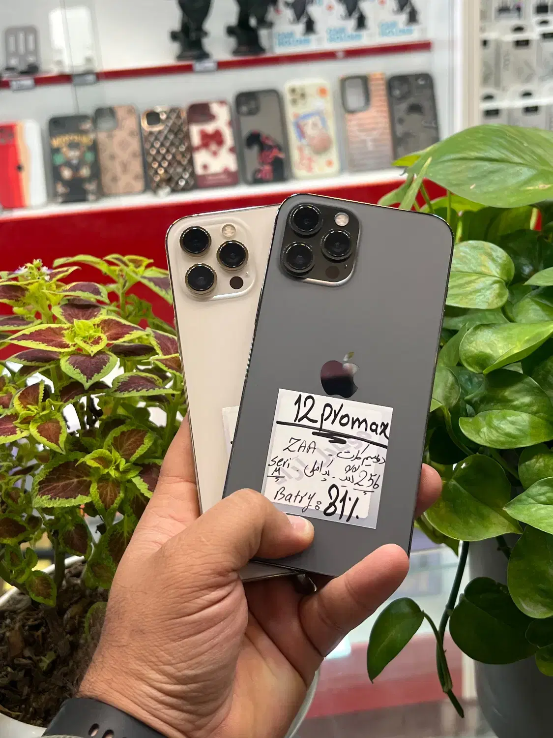 iPhone 12 promax|موبایل|شیراز, زند|دیوار
