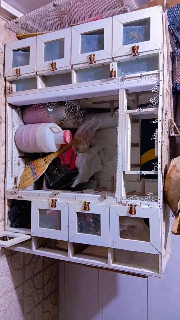 قفس|لوازم جانبی حیوانات|نیشابور, سرآب کوشک|دیوار