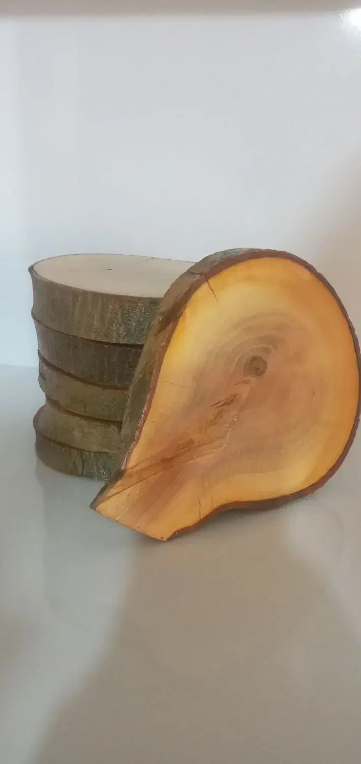 ست ۶ عددی زیر لیوانی گرد|ظروف سرو و پذیرایی|بابلسر, |دیوار