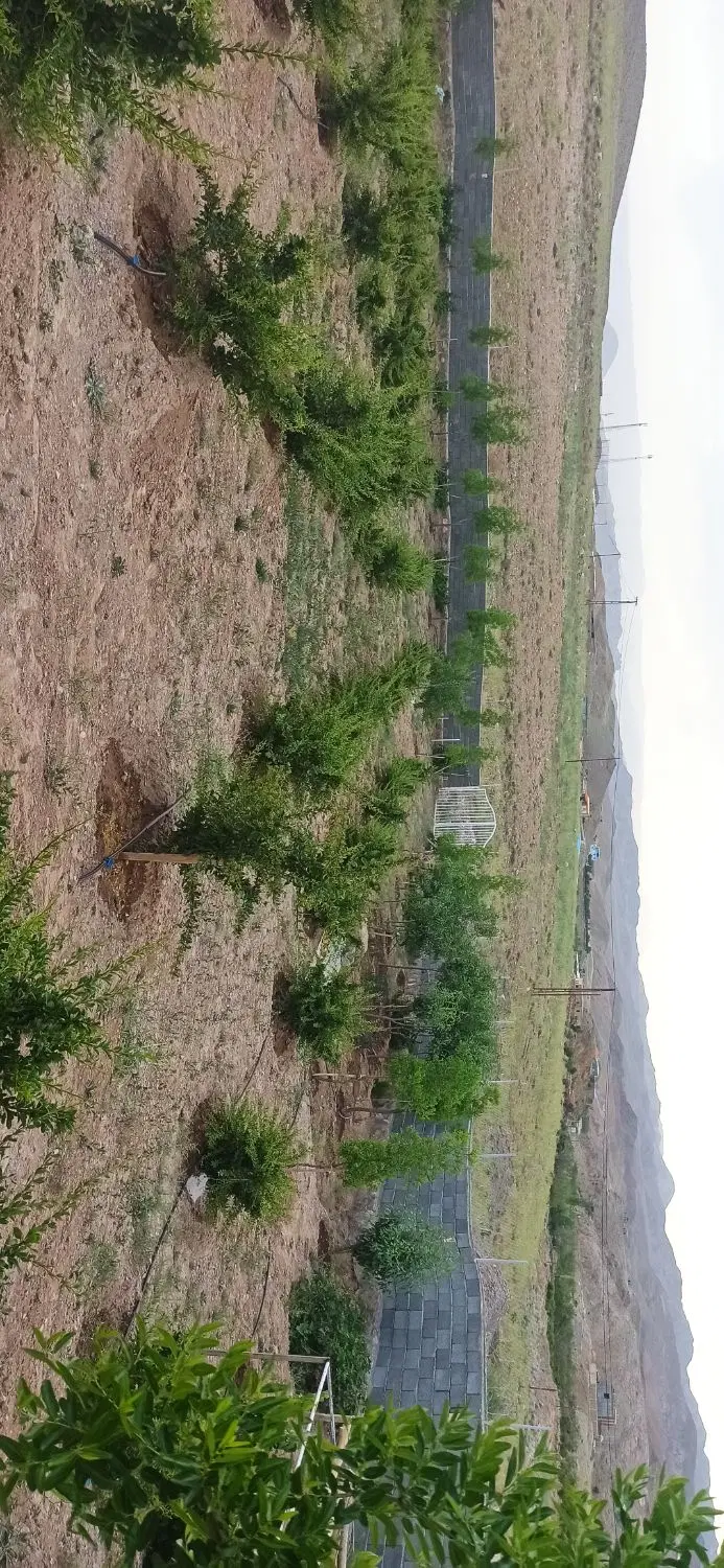 تصویر 4