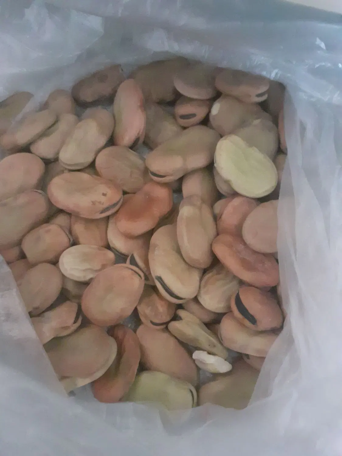 باقلا|خوردنی و آشامیدنی|شوشتر, |دیوار