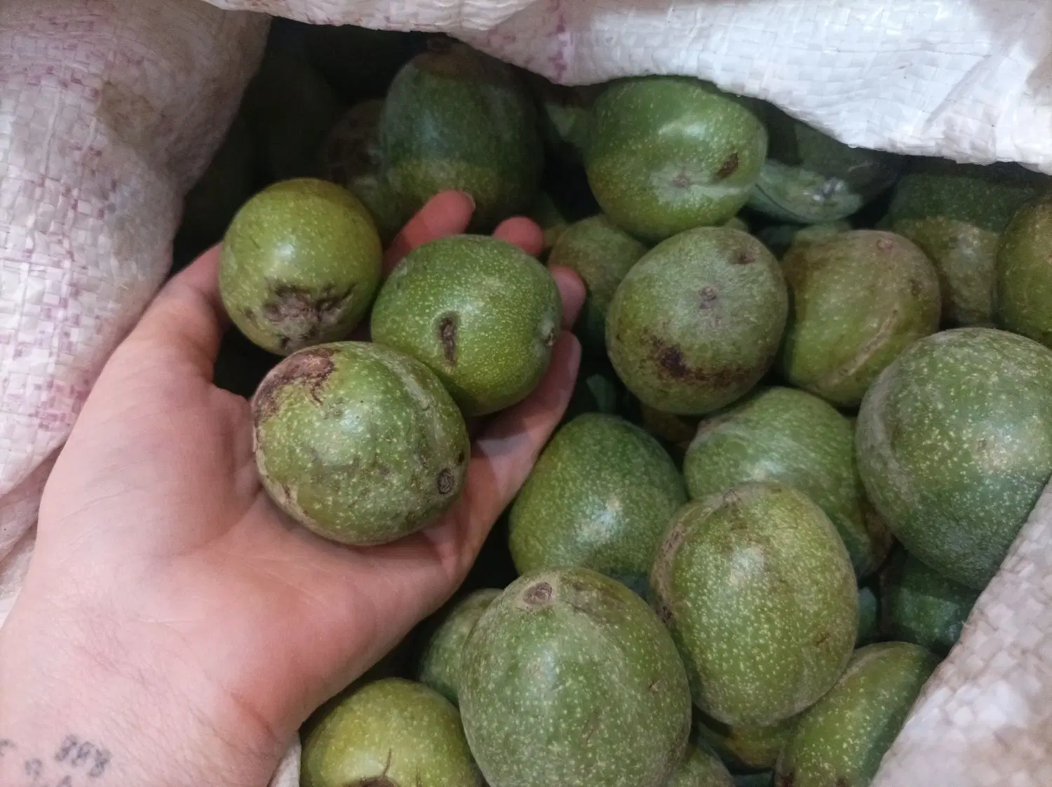 گردو|خوردنی و آشامیدنی|بم, |دیوار