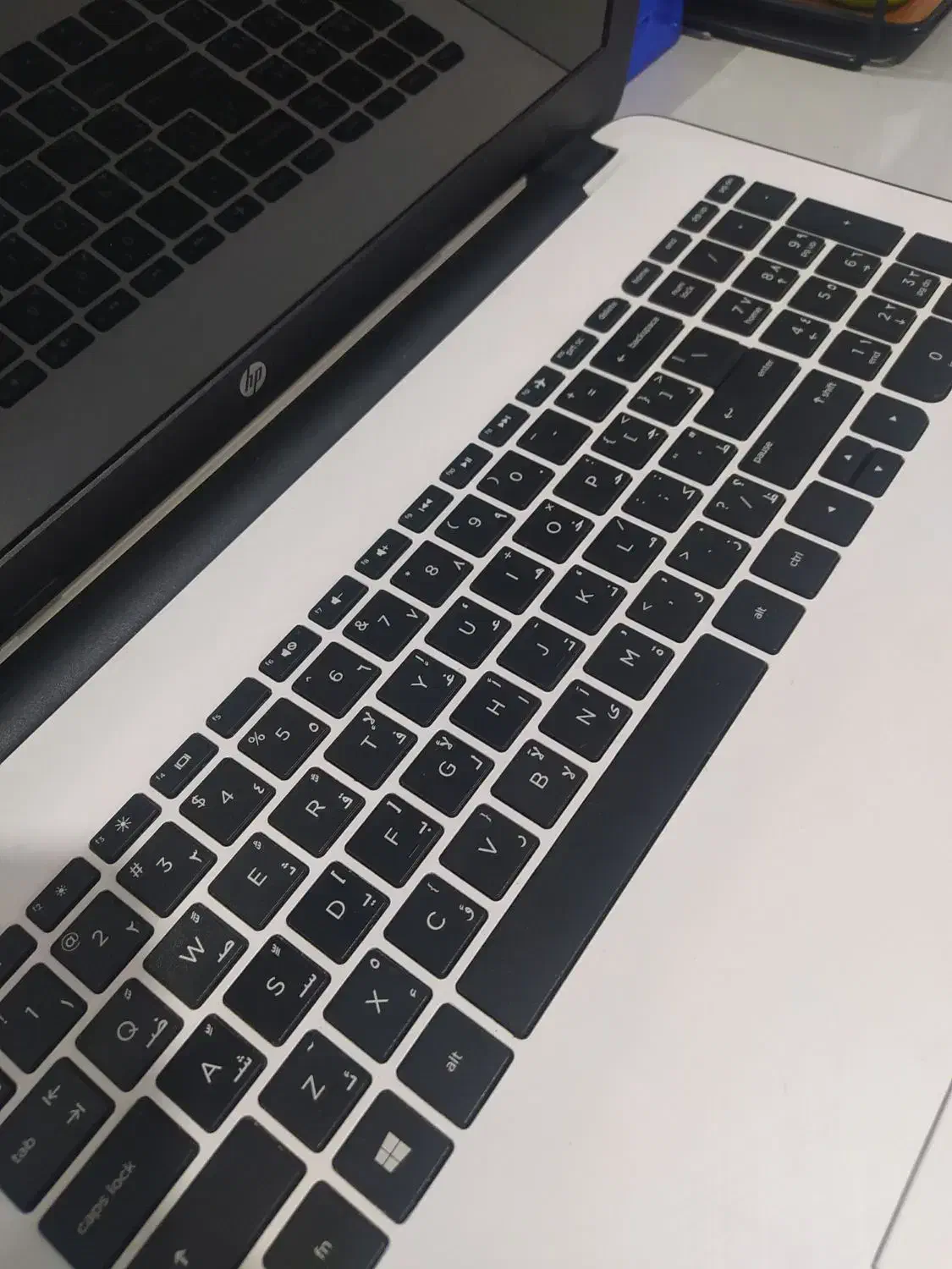 لپ تاب اچ پیhp|رایانه همراه|مشهد, رده|دیوار