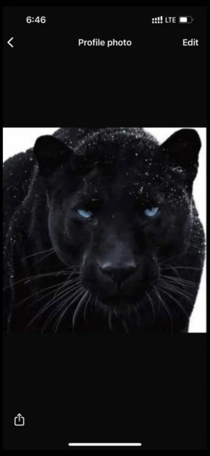 42 20 222 0935|سیم‌کارت|تهران, بازار|دیوار