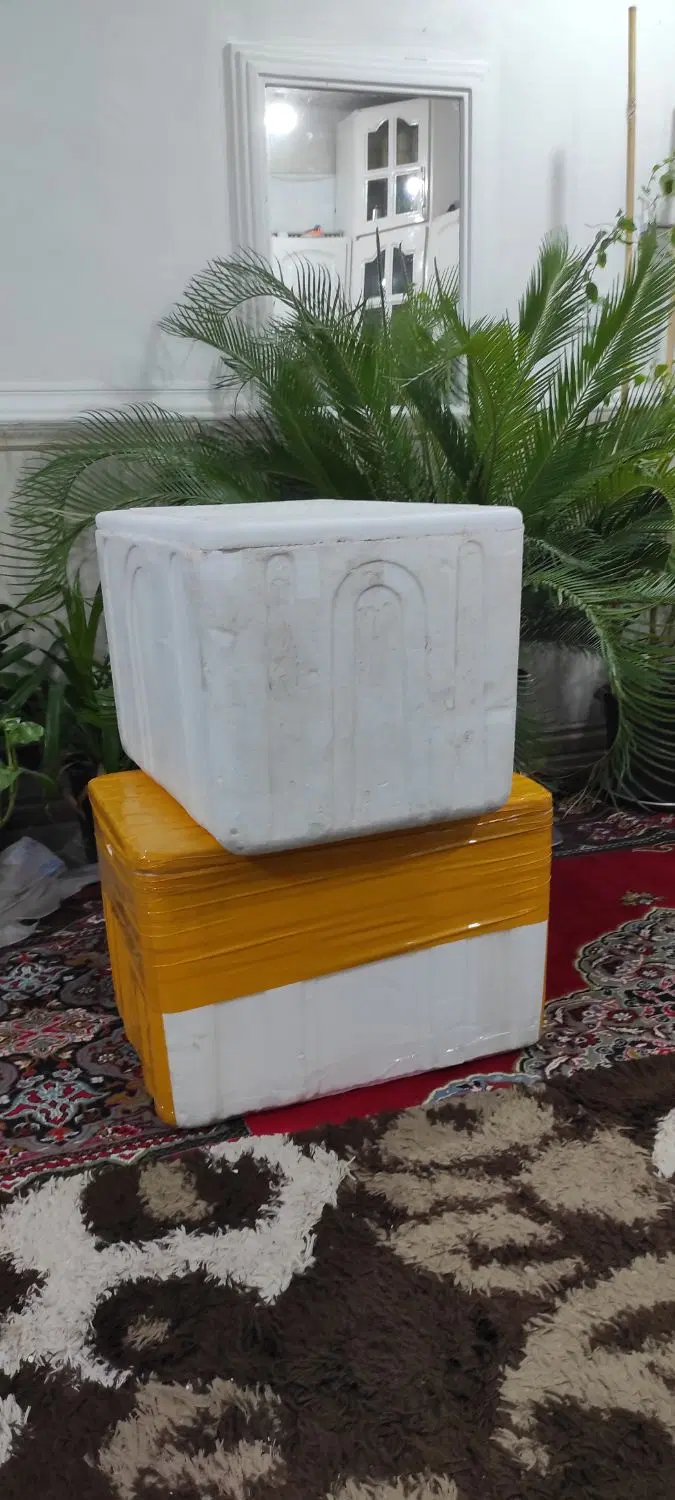 یخدون|ظروف نگهدارنده، پلاستیکی، یک‌بارمصرف|شادگان, |دیوار
