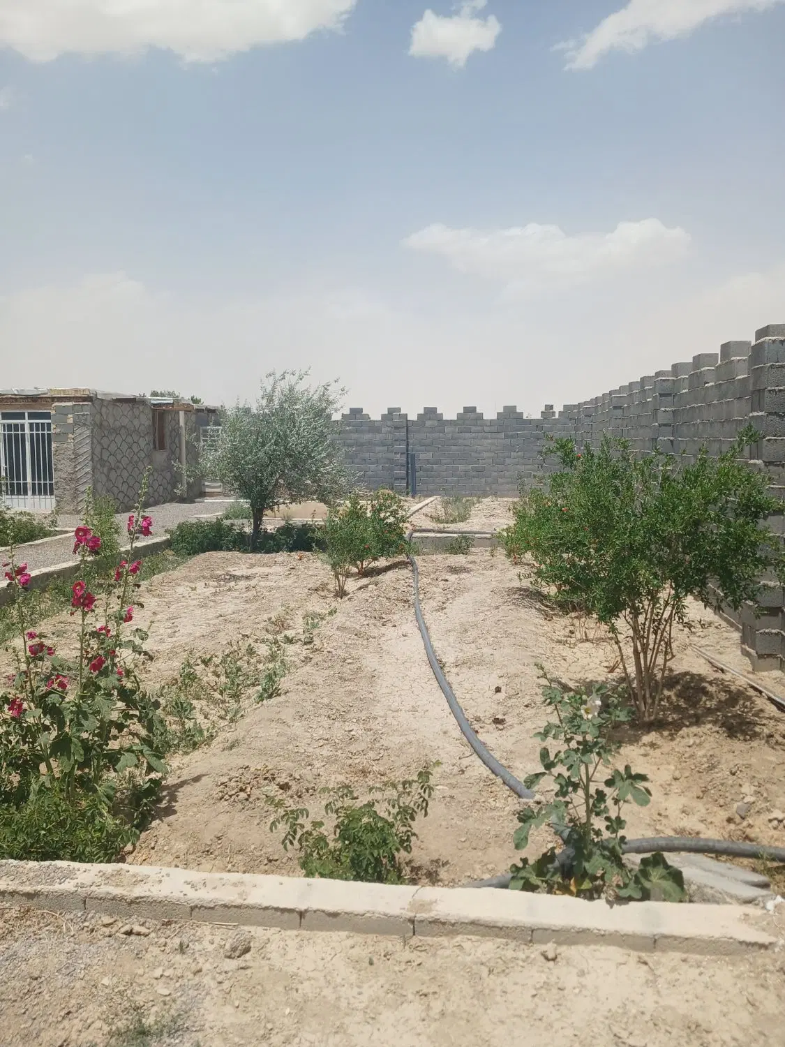 باغ ۵۰۰ متری با ساخت و مجوز دیوارکشی - Ansicht 2