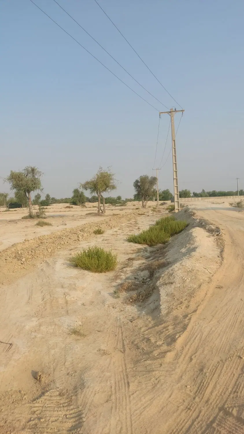 تصویر 2