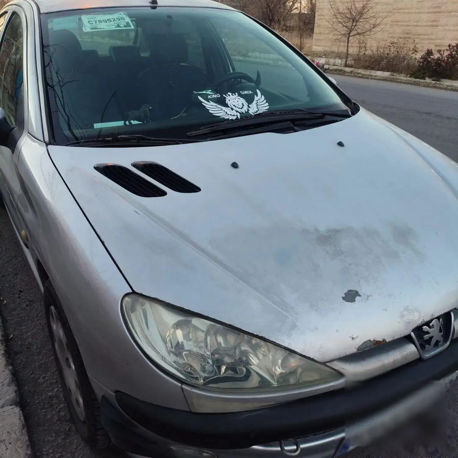 ۲۰۶ تیپ ۲|خودرو سواری و وانت|گوگان, |دیوار