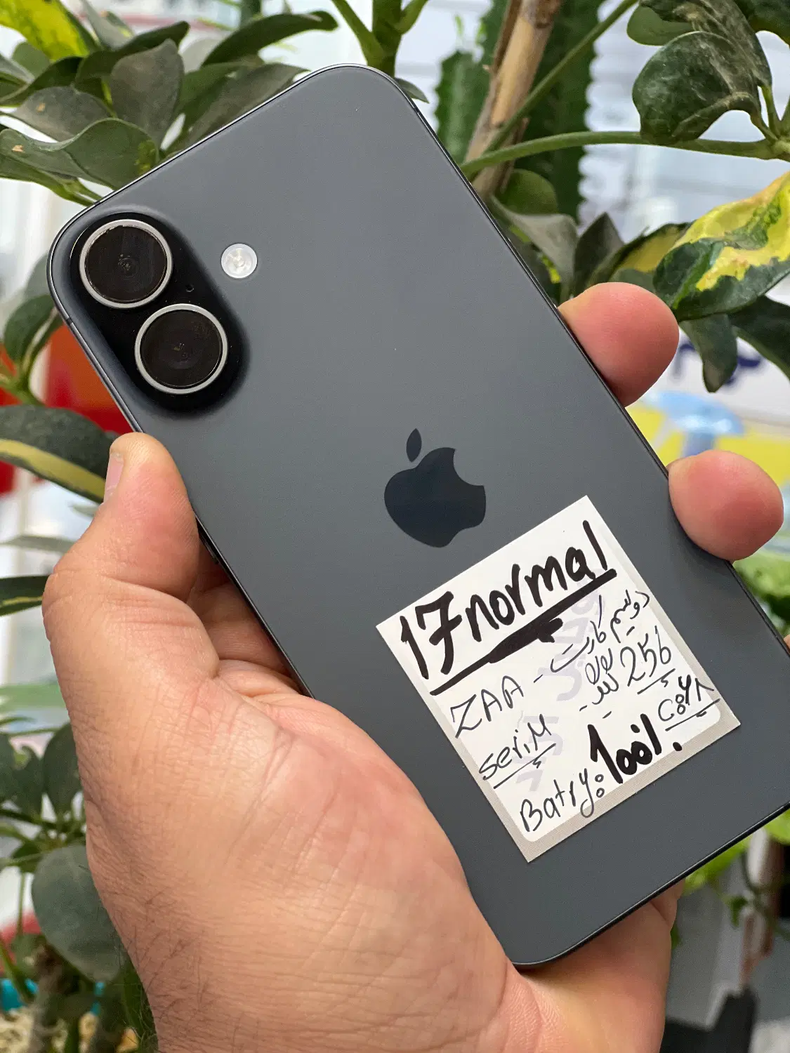 iPhone 17|موبایل|شیراز, زند|دیوار