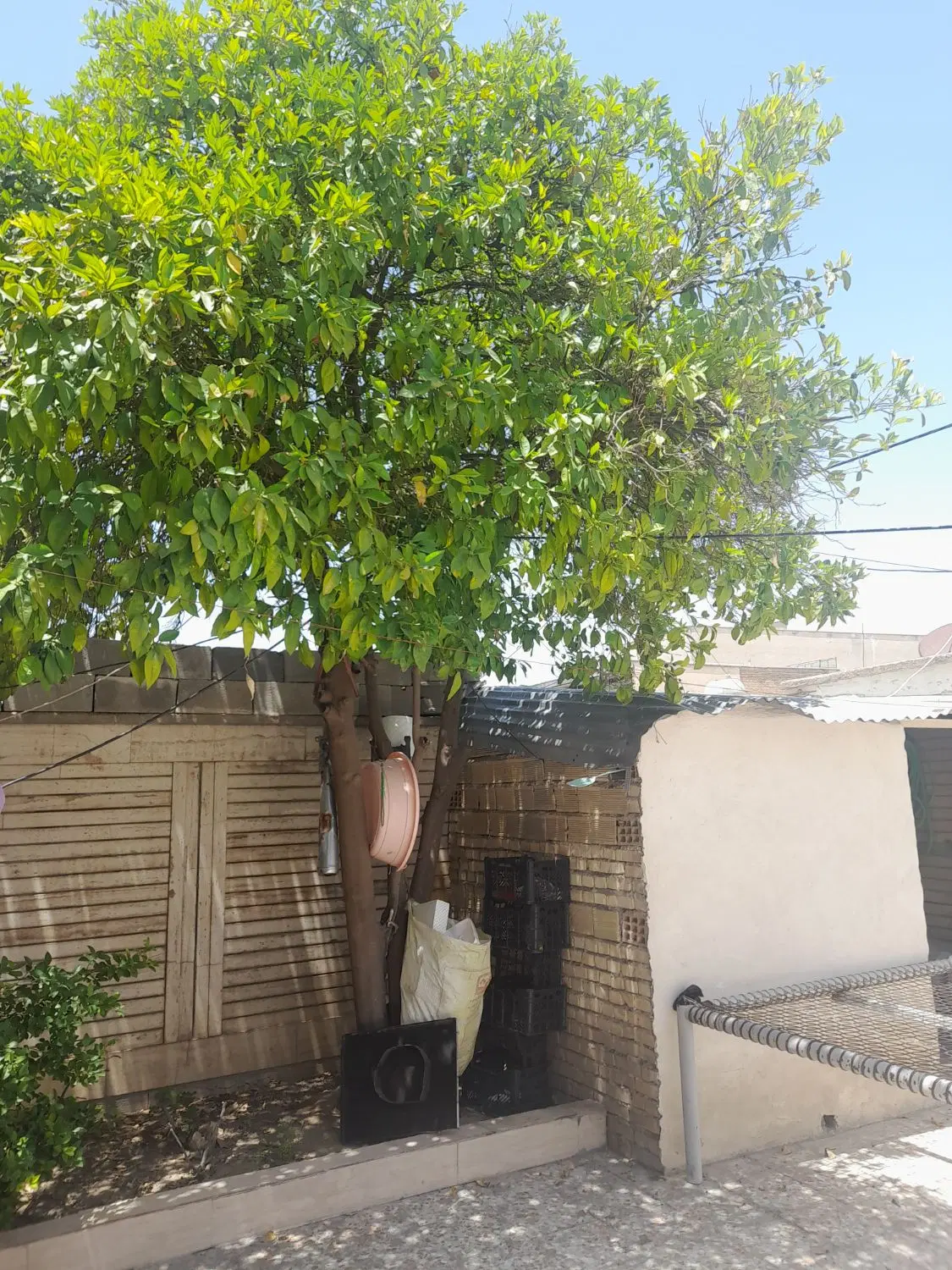 خانه|فروش خانه و ویلا|ایذه, |دیوار