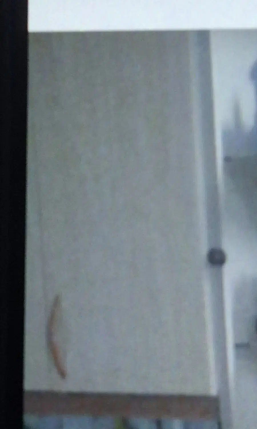 کابینت|مصالح و تجهیزات ساختمان|بیرجند, |دیوار