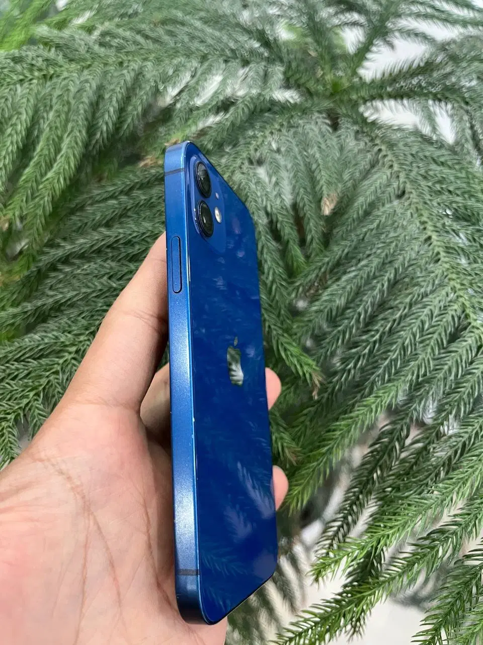 Iphone 12 normal|موبایل|سمنان, |دیوار
