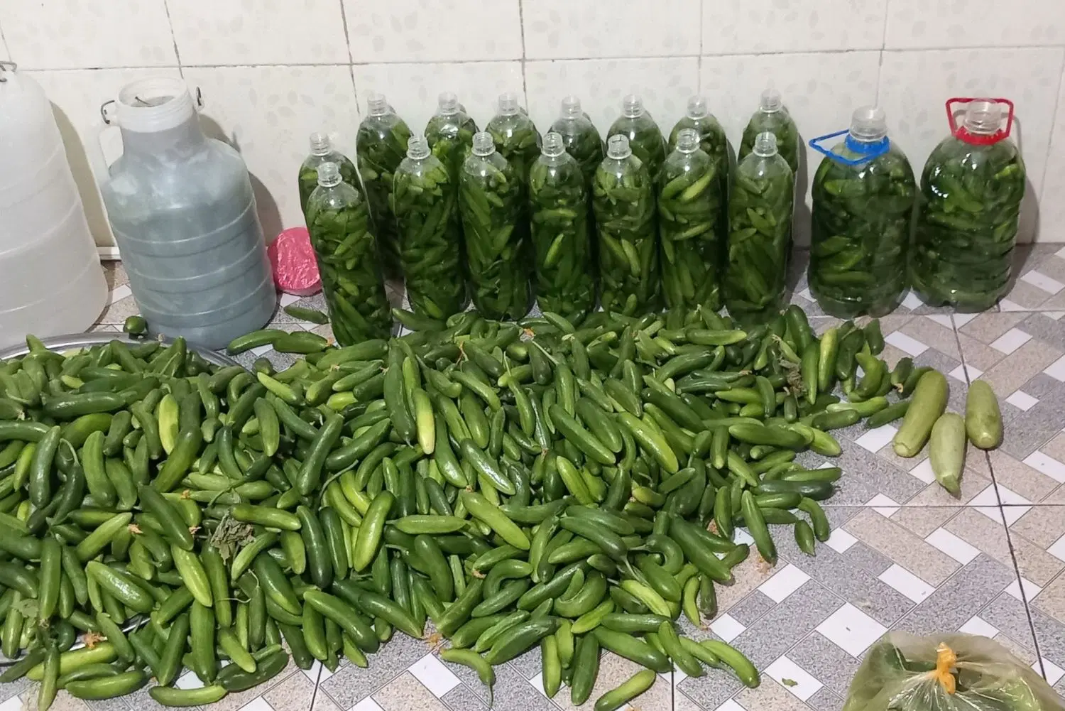 خوردنی|خوردنی و آشامیدنی|سراب, |دیوار