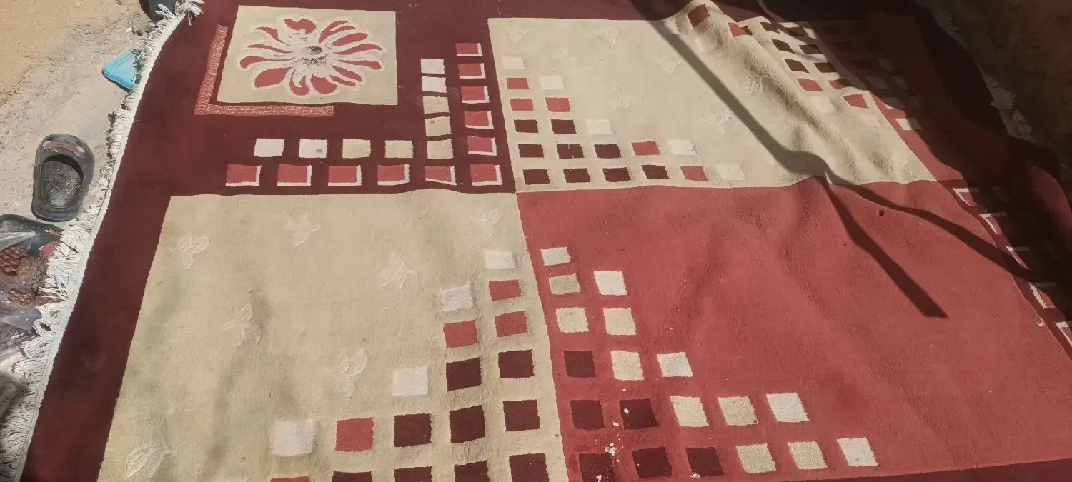 فرش تمیزن|فرش|دلیجان, |دیوار