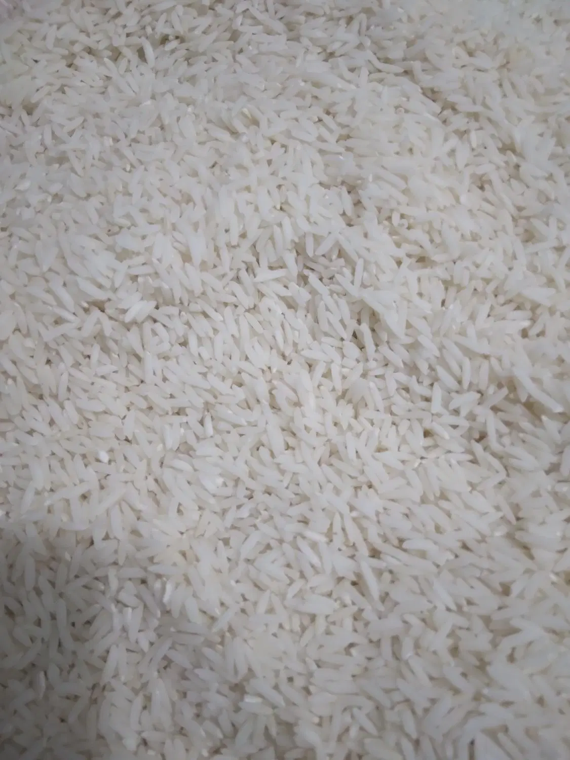 برنج|خوردنی و آشامیدنی|پرهسر, |دیوار