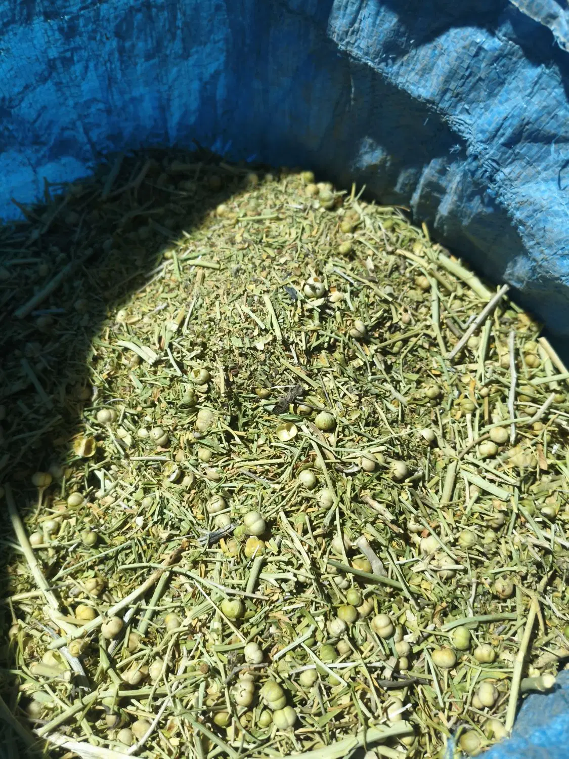 اسپند|خوردنی و آشامیدنی|مبارکه, |دیوار