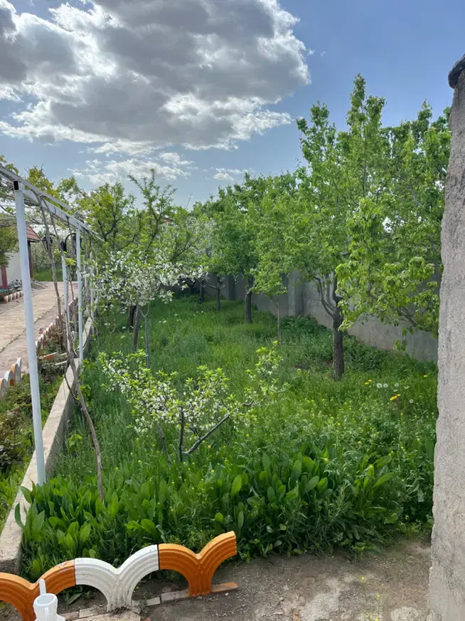 تصویر 6