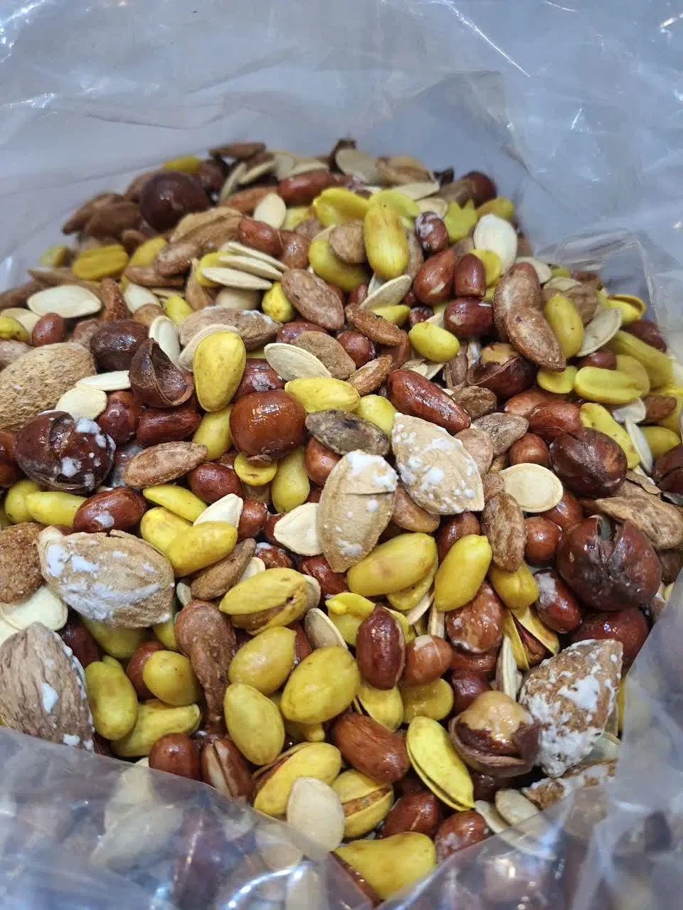 آجیل|خوردنی و آشامیدنی|مشهد, شهرک امام هادی (شهرک غرب)|دیوار