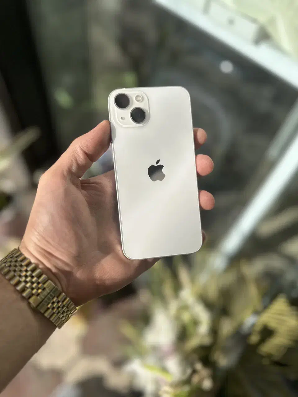 iPhone 13 normal 128G ZAA|موبایل|رشت, دیلمان|دیوار