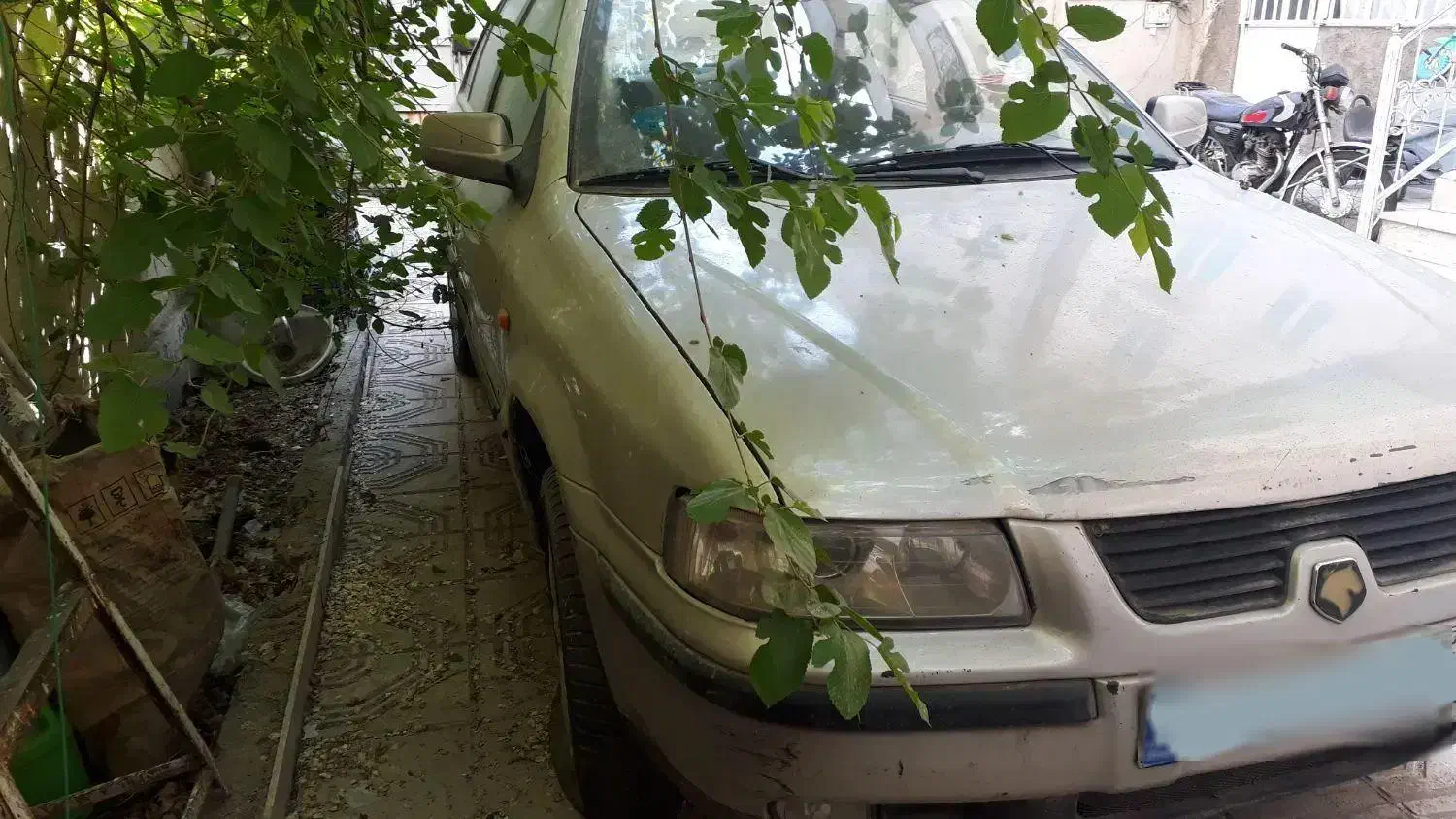 سمند مدل ۸۲|خودرو سواری و وانت|تهران, کیانشهر|دیوار