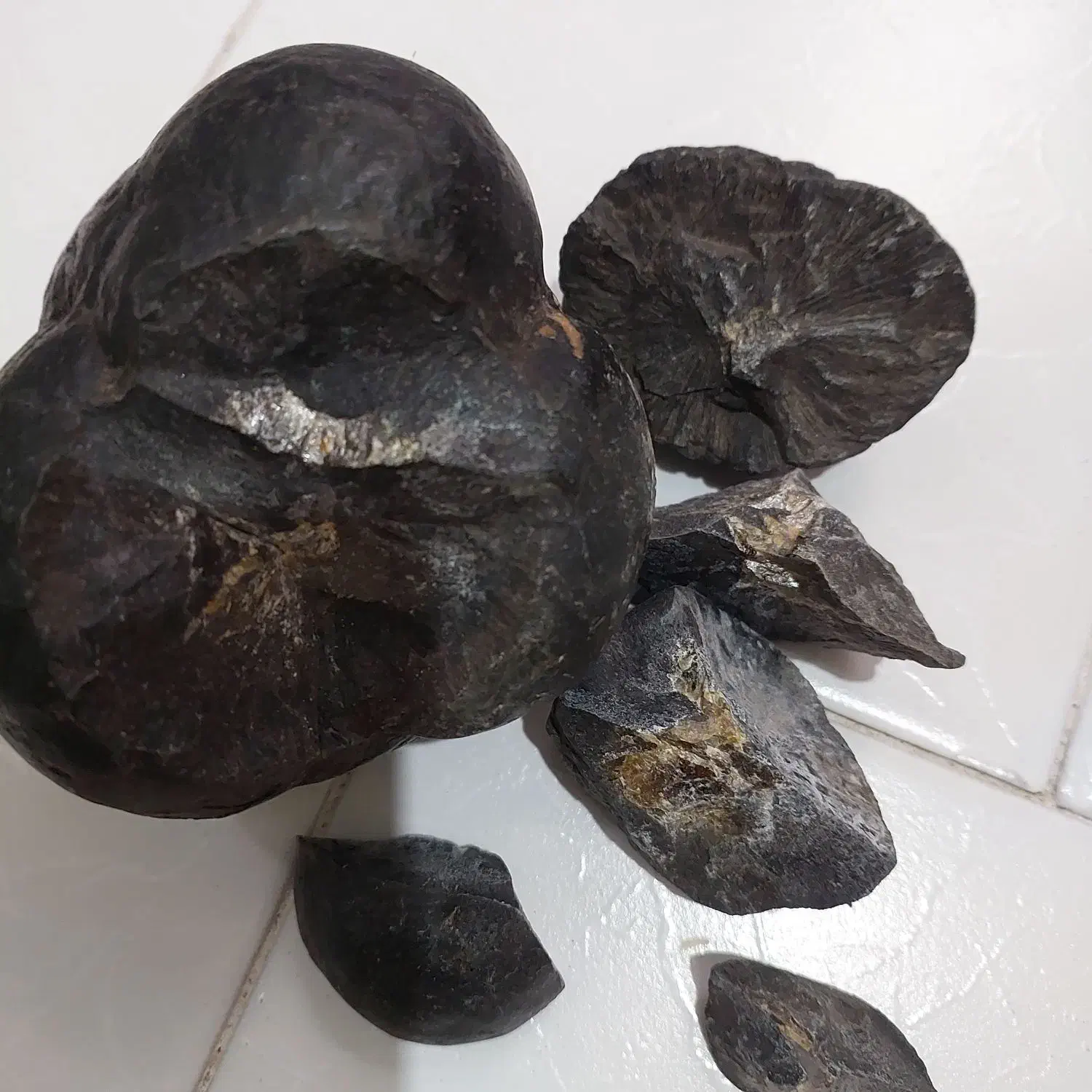 شهاب سنگ|کلکسیون اشیاء عتیقه|تهران, منیریه|دیوار